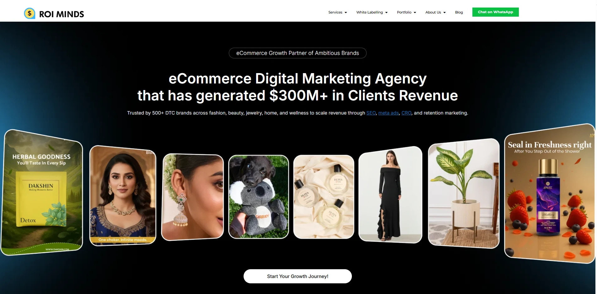 roi minds